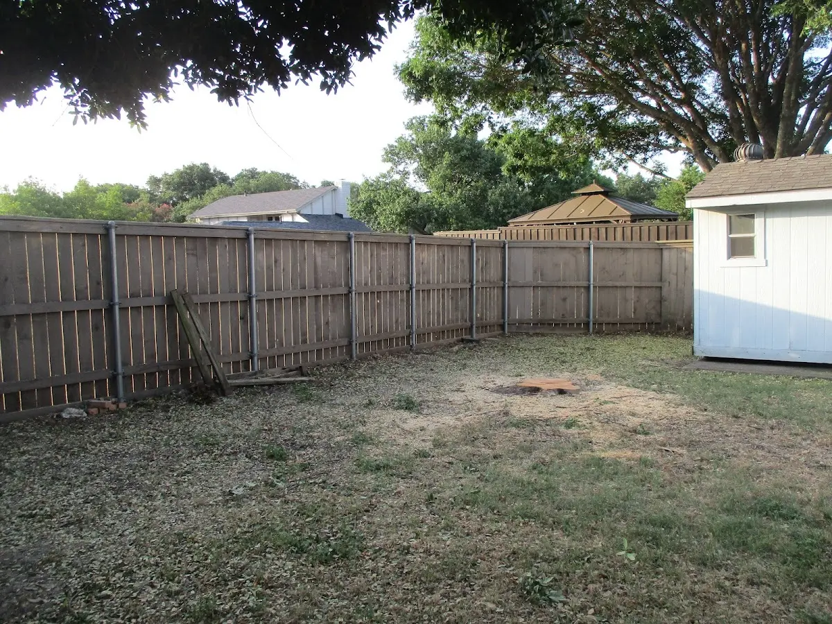 Cleared yard after professional tree removal in Pitkin